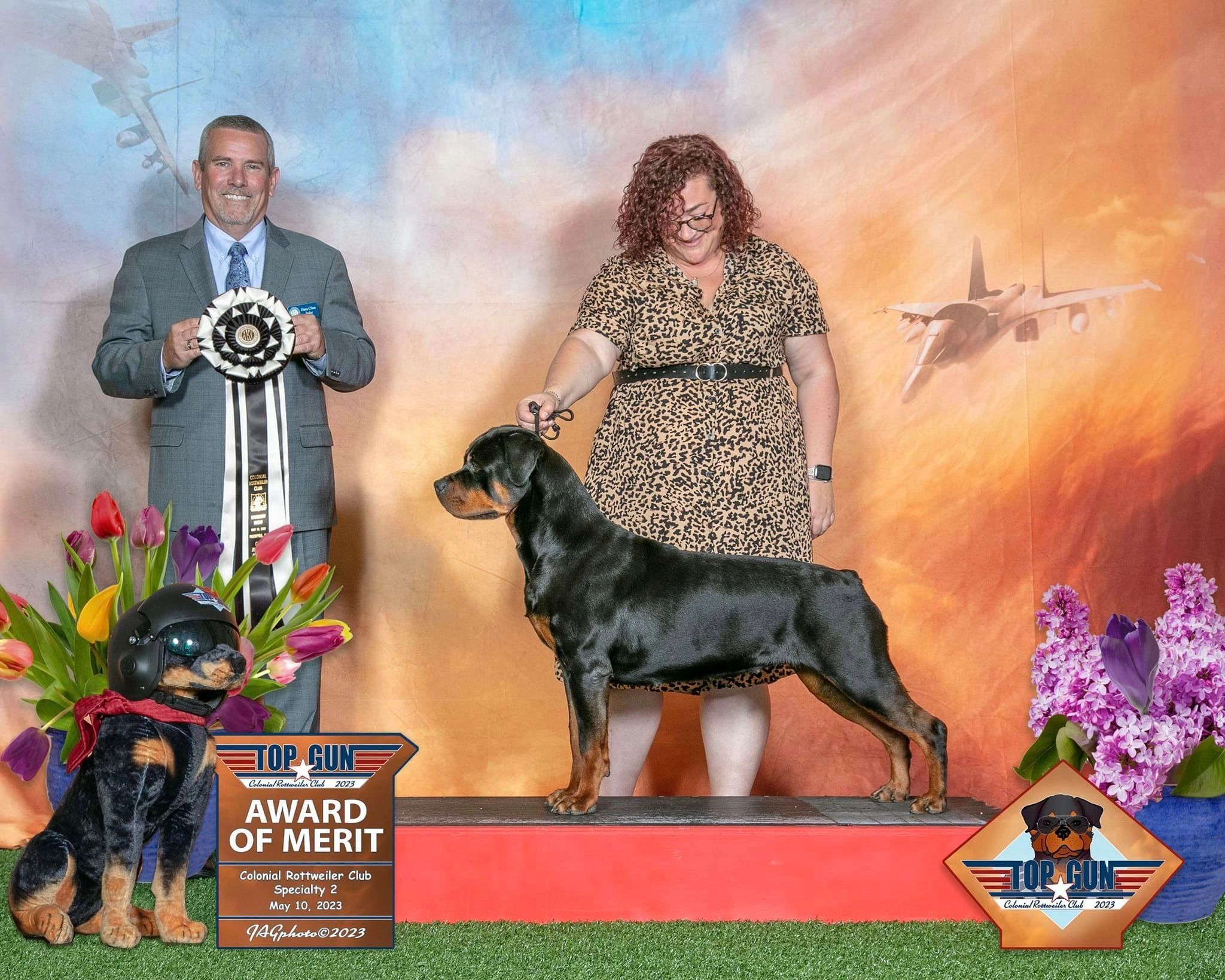 Colonial rottweiler club sales